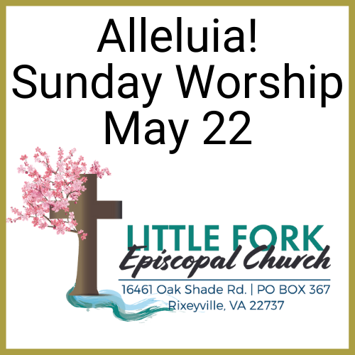 Worship Service & Livestream May 22