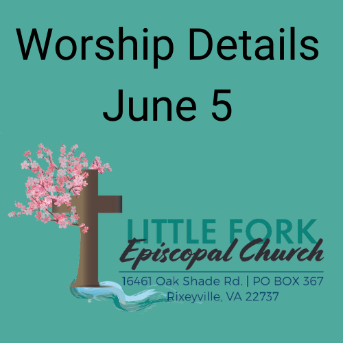 Worship Service & Livestream June 5