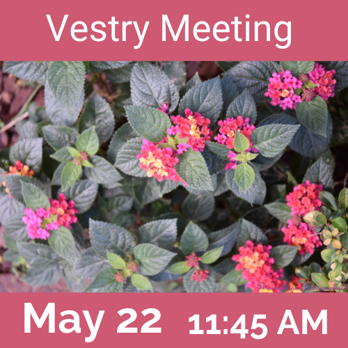 Vestry Meeting May 22, 2022