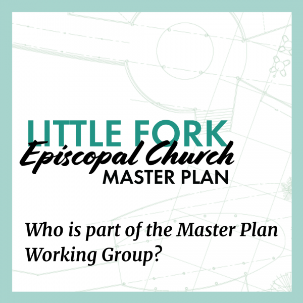 Who is part of the Master Plan Working Group?